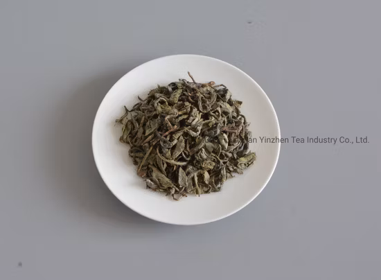 Tè biologico premium Green Tea Factory Op 9101